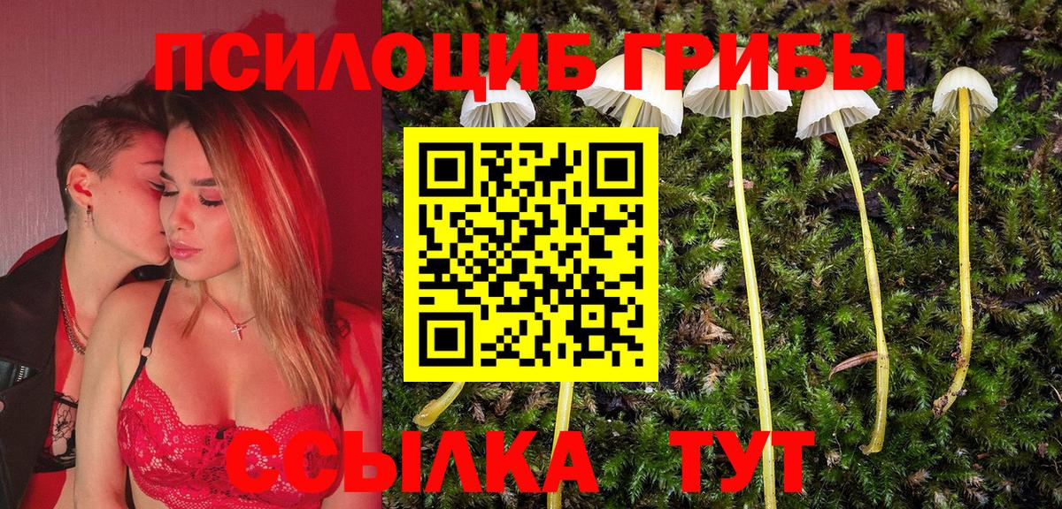 Галлюциногенные грибы MAGIC MUSHROOMS Ухта