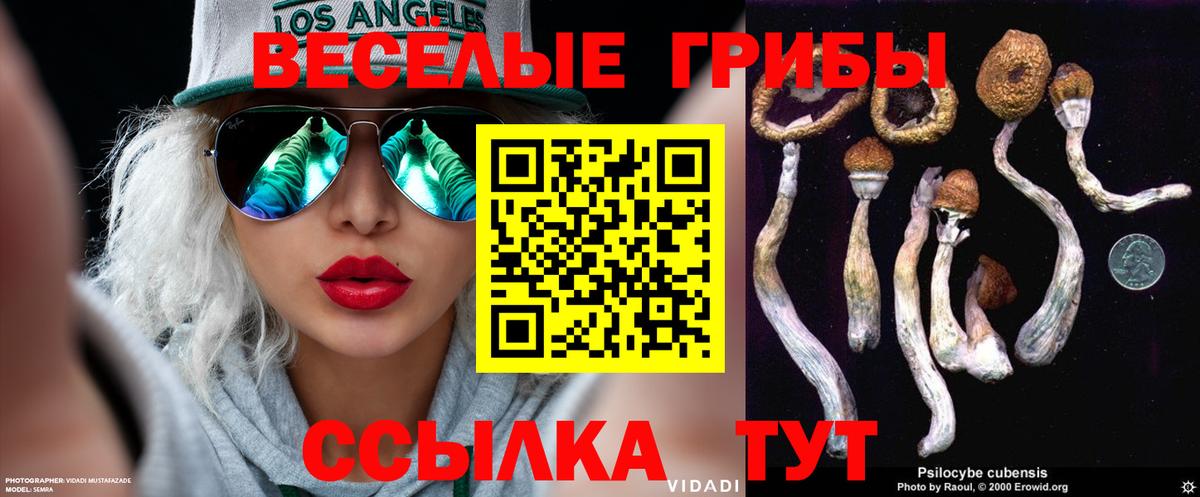 Галлюциногенные грибы GOLDEN TEACHER  Галлюциногенные грибы MAGIC MUSHROOMS  Вход с VPN  Ухта 
